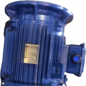 AEUV5N超超高效三相異步電機（MODEL:TEV5）